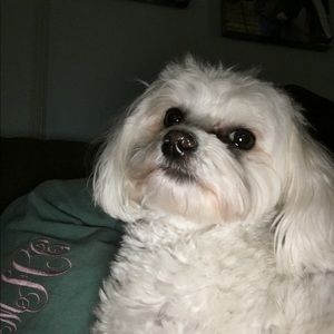 Meet your Posher, Melanie